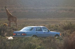 Mercedes-ul de safari: în căutarea verii