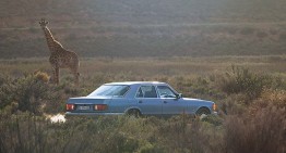 Mercedes-ul de safari: în căutarea verii