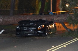 Un șofer supraviețuiește după ce un copac se prăbușește peste Mercedes-ul său