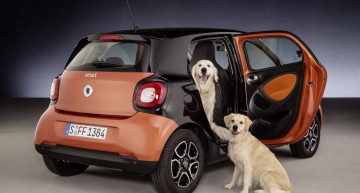 Smart fordogs: o surpriză pentru cel mai bun prieten al omului