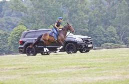 Cursa secolului – Mercedes GL “Black Crystal” se ia la întrecere cu un cal