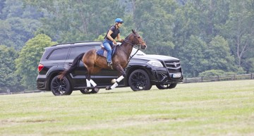 Cursa secolului – Mercedes GL “Black Crystal” se ia la întrecere cu un cal