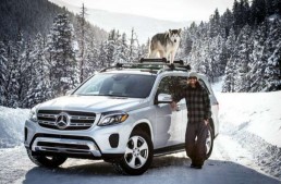 Explorînd munții cu un Mercedes-Benz GLS și un husky