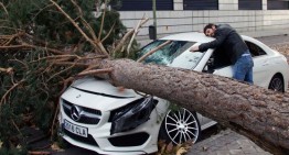 Strigător la cer! Un Mercedes strivit de copac în Spania