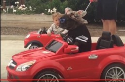 Video viral: un copil și un cățel conduc mini-decapotabile Mercedes