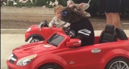 Video viral: un copil și un cățel conduc mini-decapotabile Mercedes